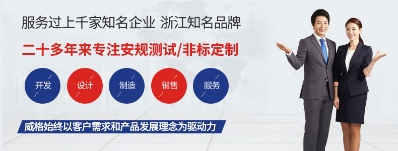 威格永磁同步電機測功機綜合性能出廠(chǎng)測試系統 型式試驗臺臺架插圖16
